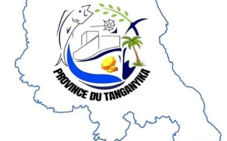 Problématique de la succession à l’Assemblée Provinciale du Tanganyika par les Premiers suppléants : Regard sur le tribalisme et son impact sur le développement et la cohabitation