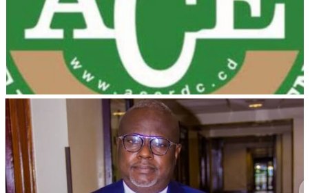 Assemblée Nationale: L’Honorable Dhedhe Mupasa adresse une question écrite au Directeur Général de l’ACE