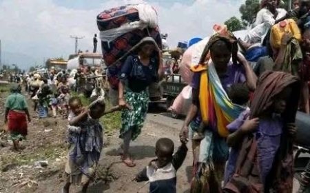 Réunion extraordinaire du parlement européen -Afrique : Thérèse Kayikwamba dénonce la crise dans l’Est de la RDC