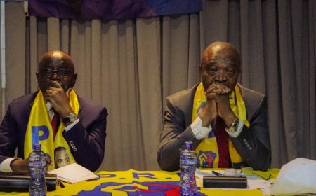 Le PPRD  réarme ses cadres et réitère son attachement à la Constitution de 2006