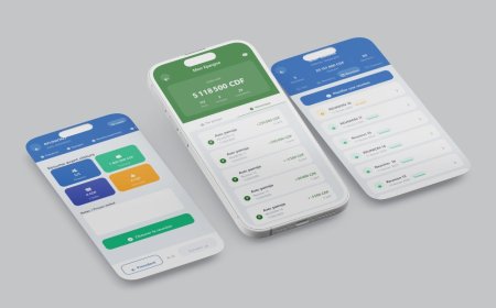 D-VSLA : La plateforme numérique congolaise qui numerise les AVEC/VSLA