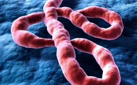 Retour du virus Ebola en RDC : la 17e épidémie met à l'épreuve un pays résilient